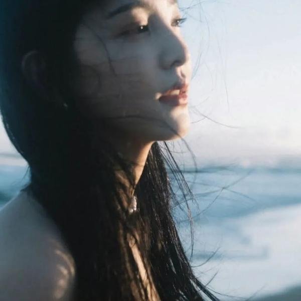 贵客光临